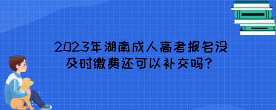 2023年湖南成人高考报名没及时缴费还可以补交吗？.jpeg